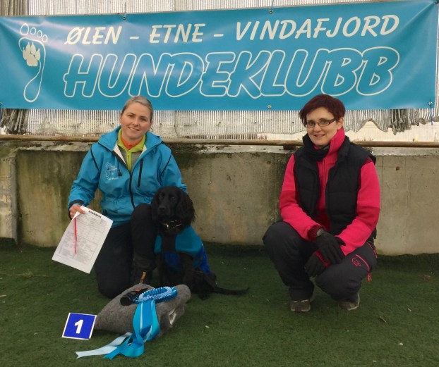 bilde-05-02-2017-11-58-16