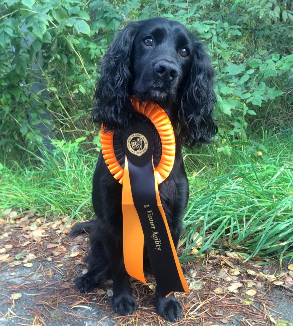 bilde-11-09-2016-15-25-50