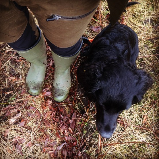 bilde-19-02-2017-14-07-27