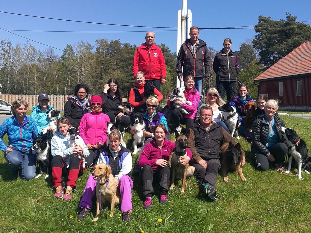 18558963_1525416364196565_7356031203166106127_o