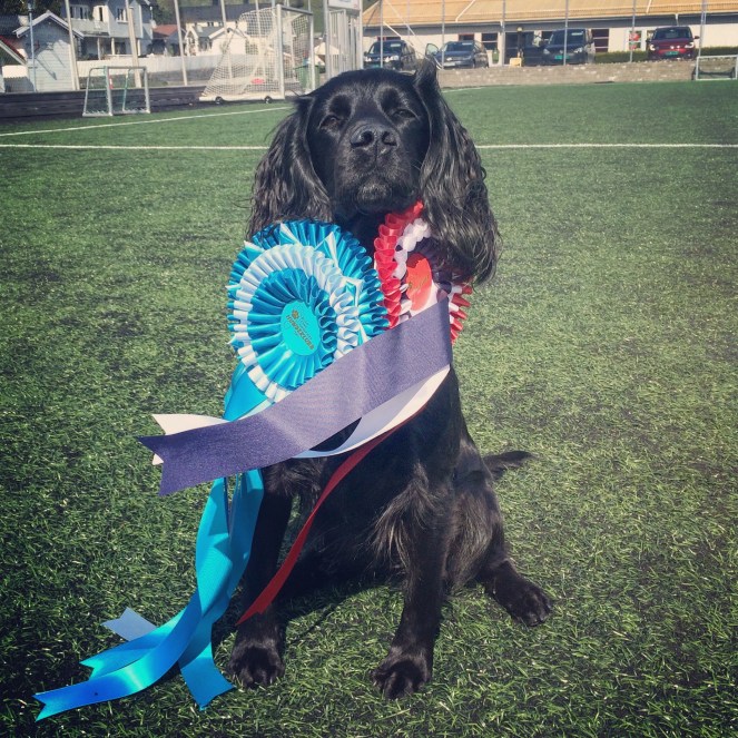 Bilde 01.05.2017, 15.15.24 (1)