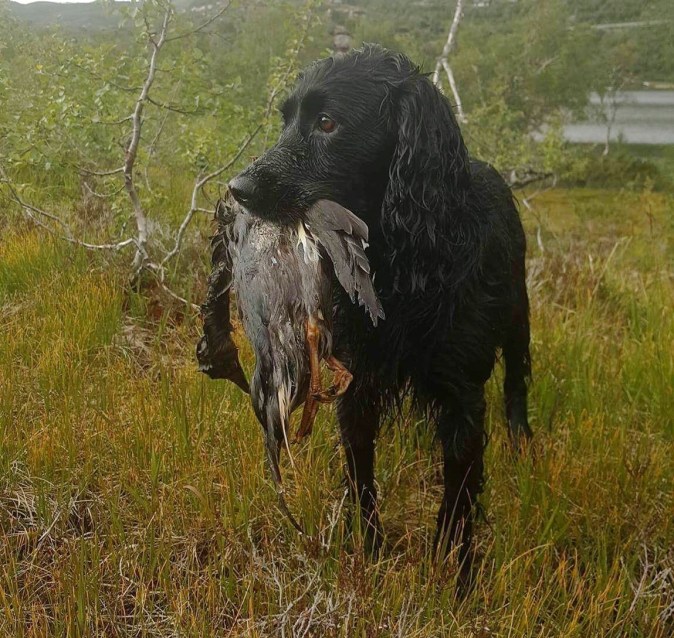 Bilde 12.08.2017, 20.29.42