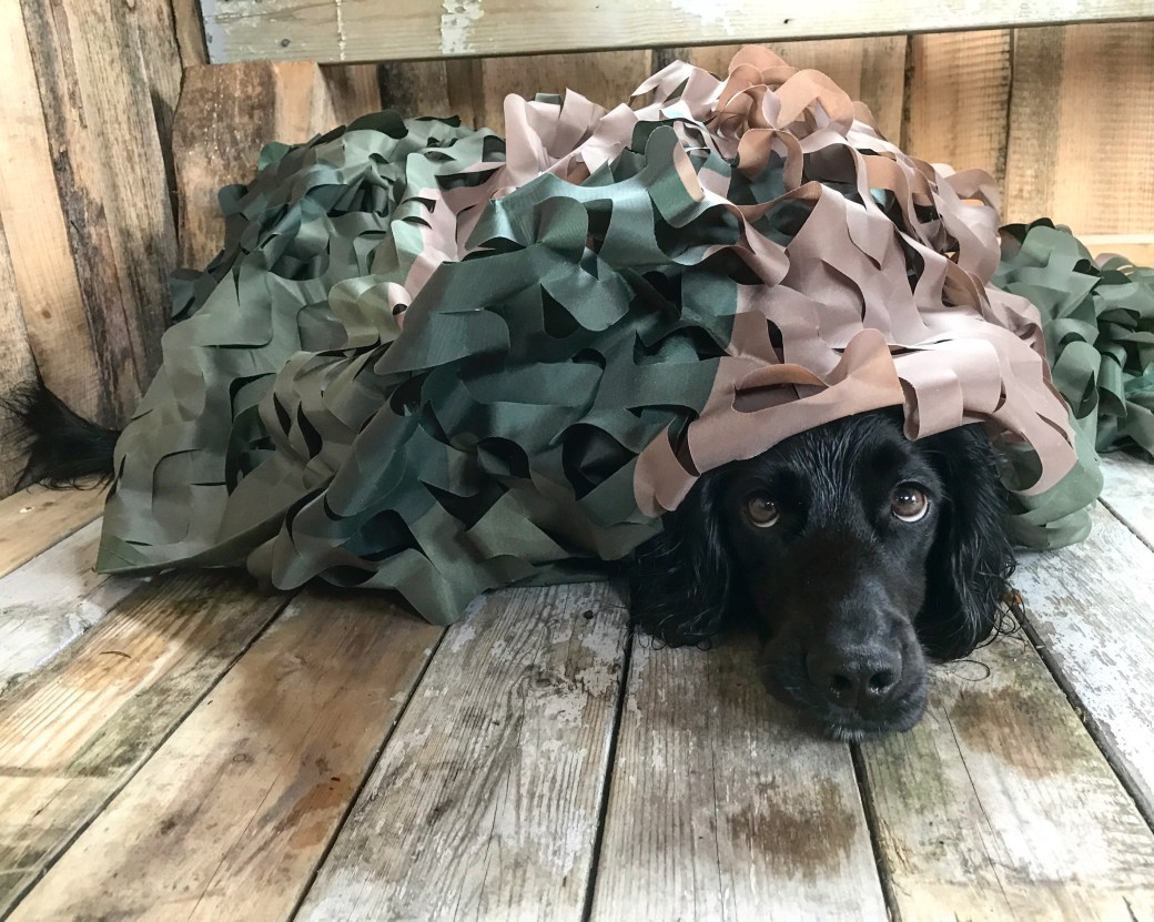 Bilde 13.08.2017, 13.30.12