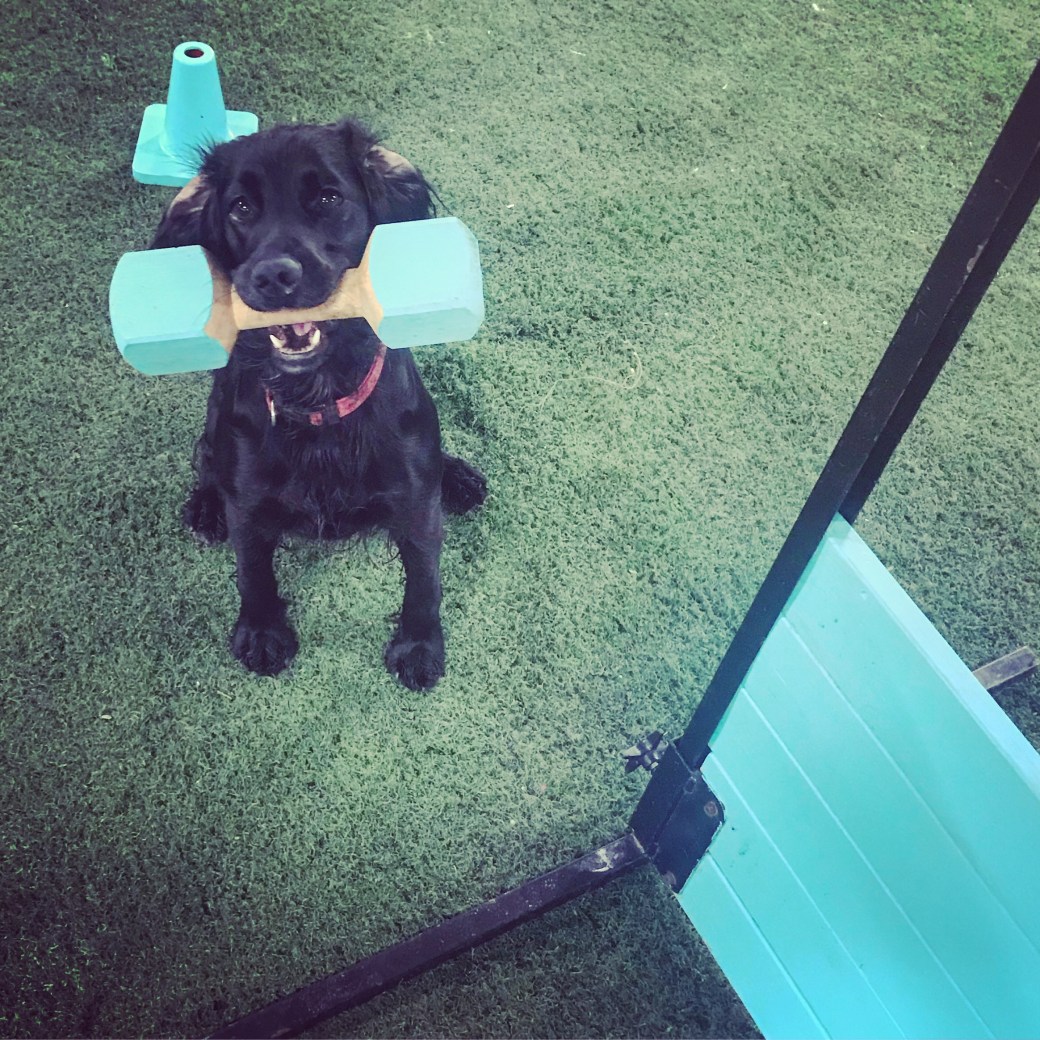 Bilde 02.11.2017, 18 11 31 (1)