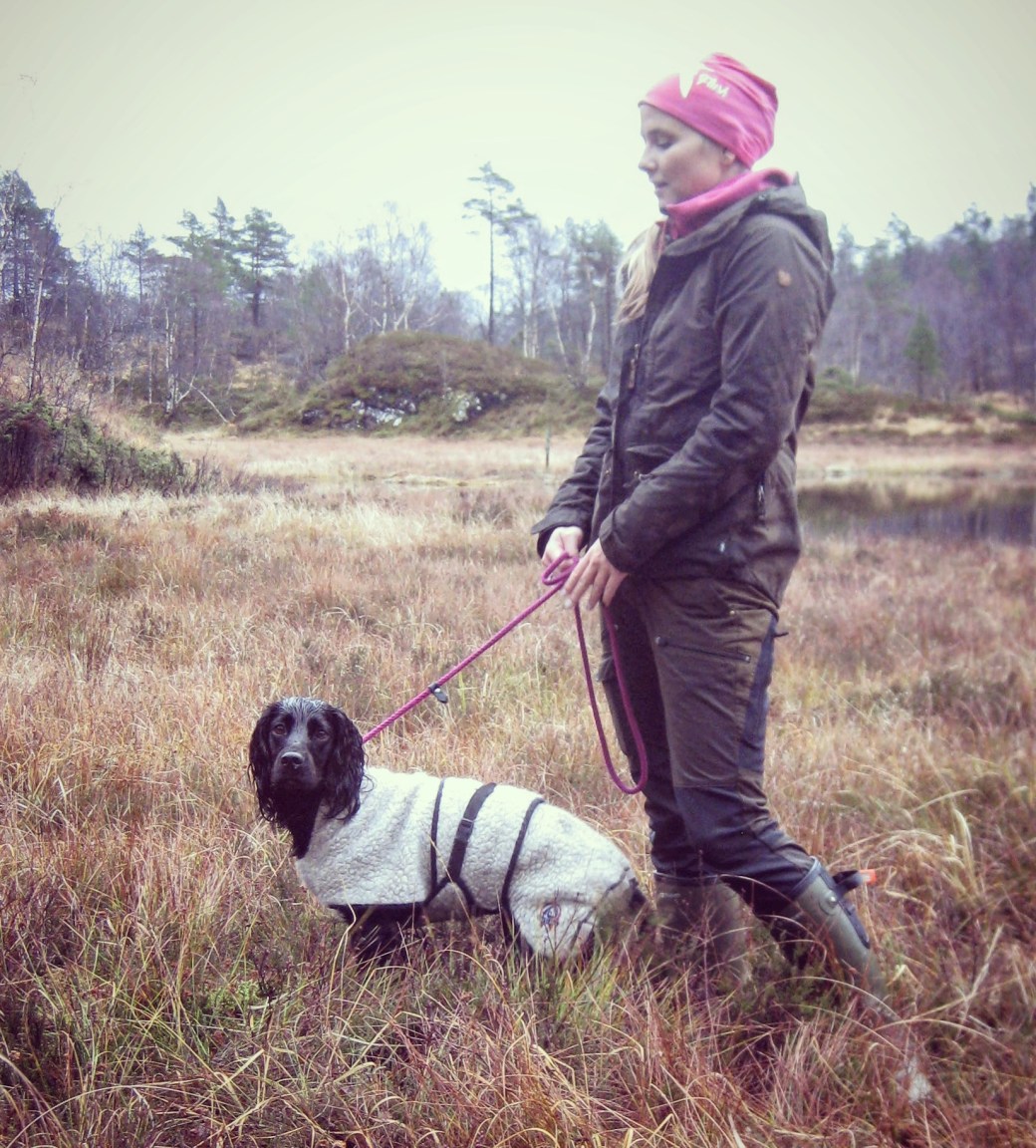 Bilde 04.11.2017, 13 02 16