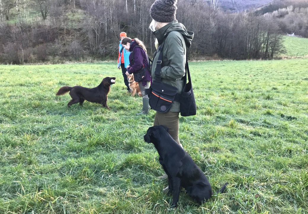 Bilde 19.11.2017, 10 57 35