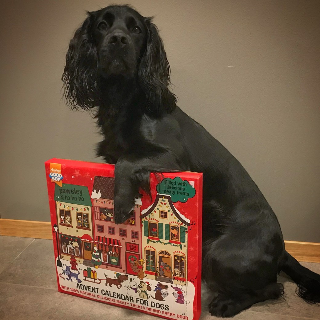 Bilde 20.11.2017, 17 06 07