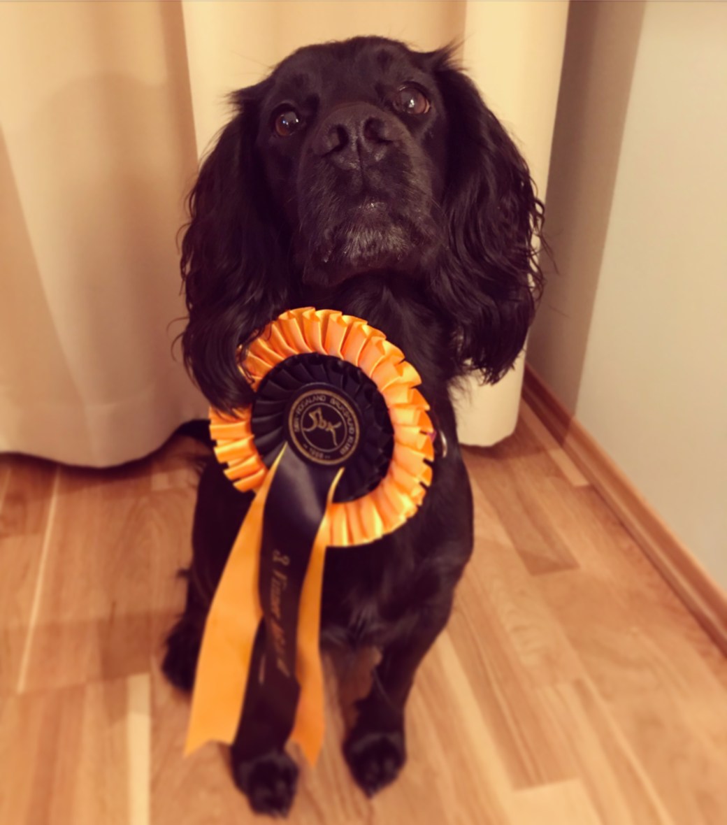 Bilde 25.11.2017, 19 30 06