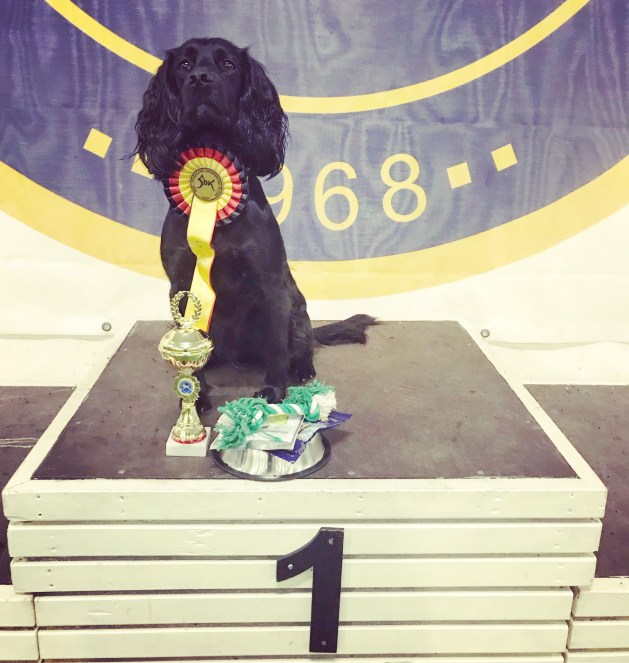 Bilde 03.12.2017, 13 11 33