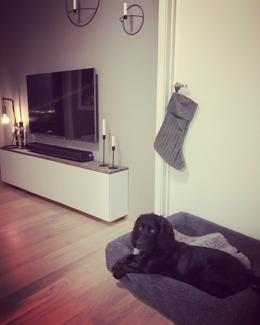 Bilde 19.12.2017, 17 44 13