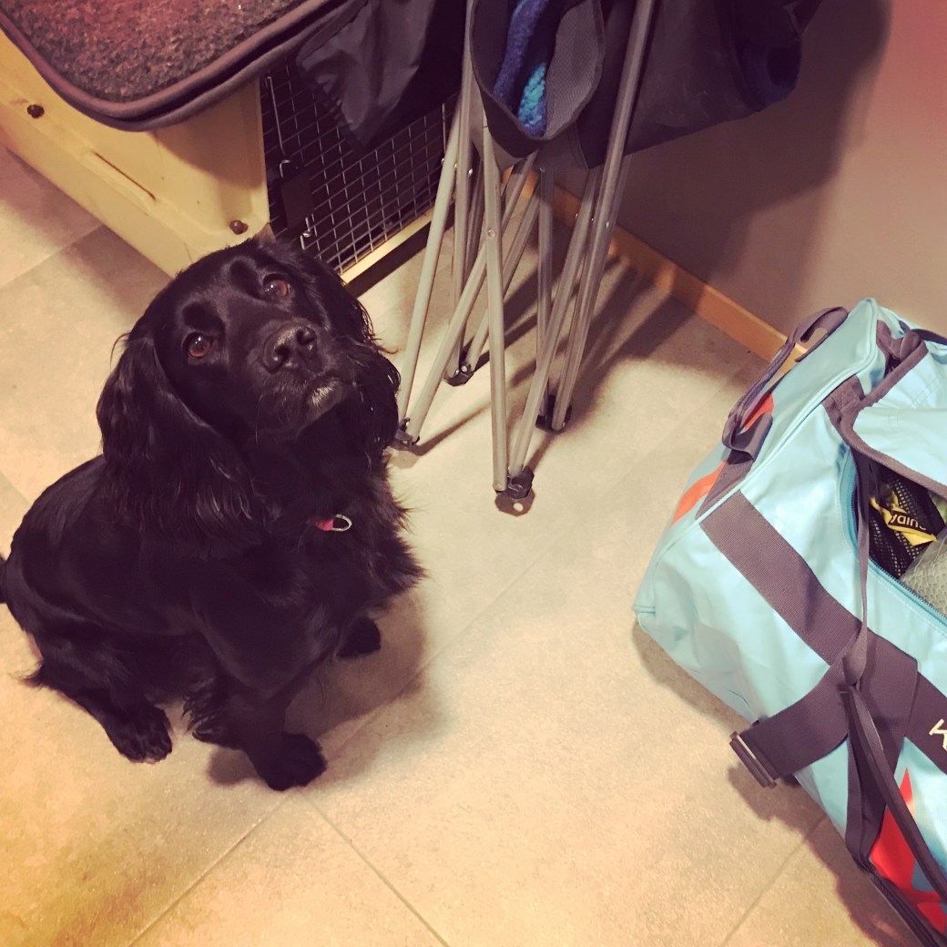 Bilde 12.01.2018, 17 36 48