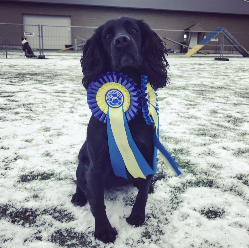 Bilde 14.01.2018, 15 24 55