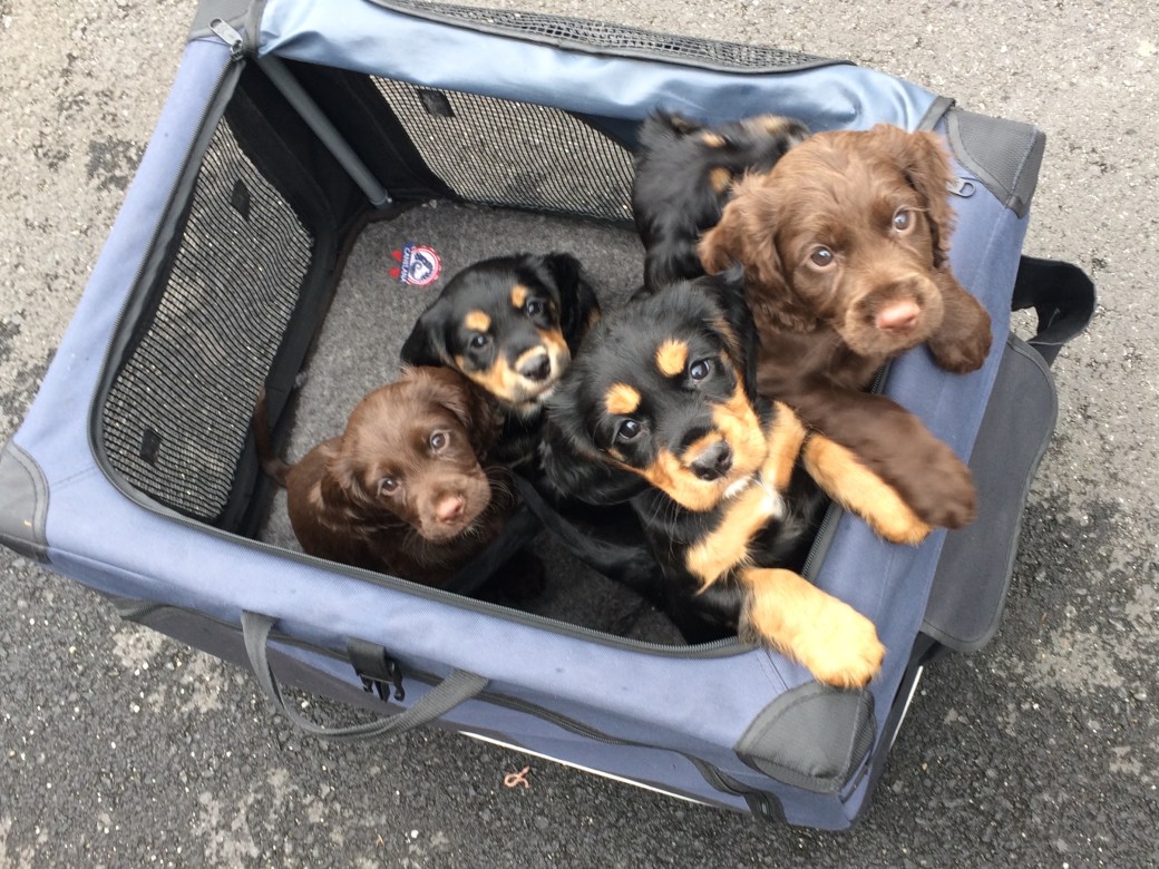 Bilde 25.04.2018, 12.26.54