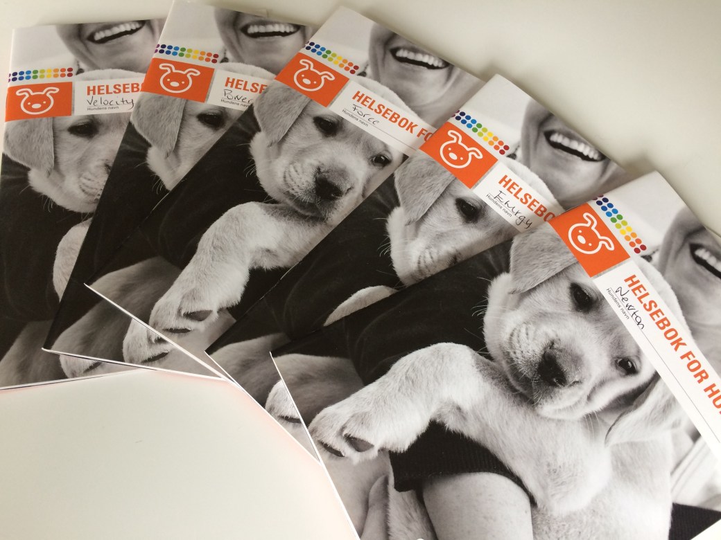 Bilde 25.04.2018, 12.29.30