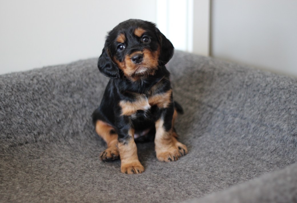 Nr 3 5 uker Energy 2