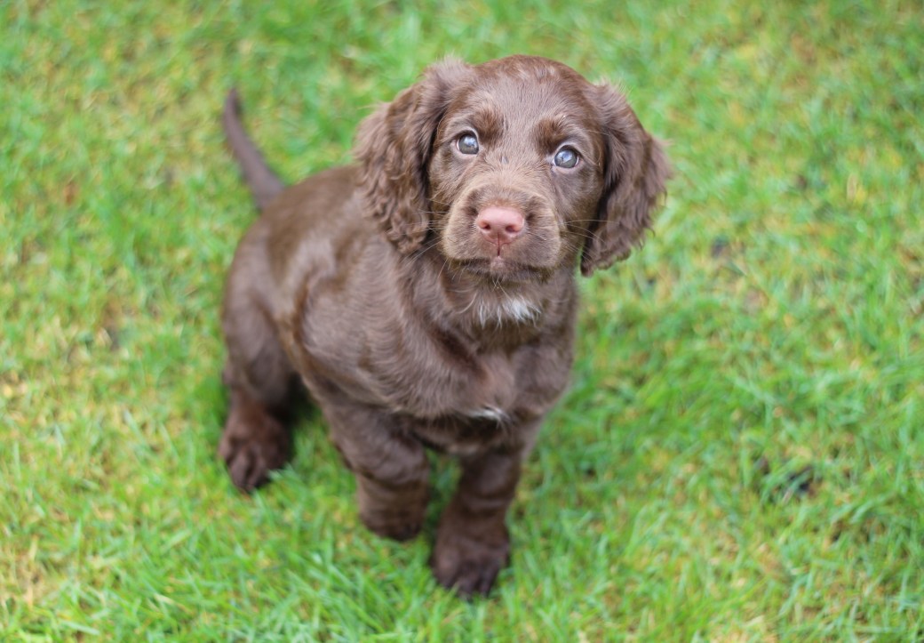 Nr 5 7 uker Velocity