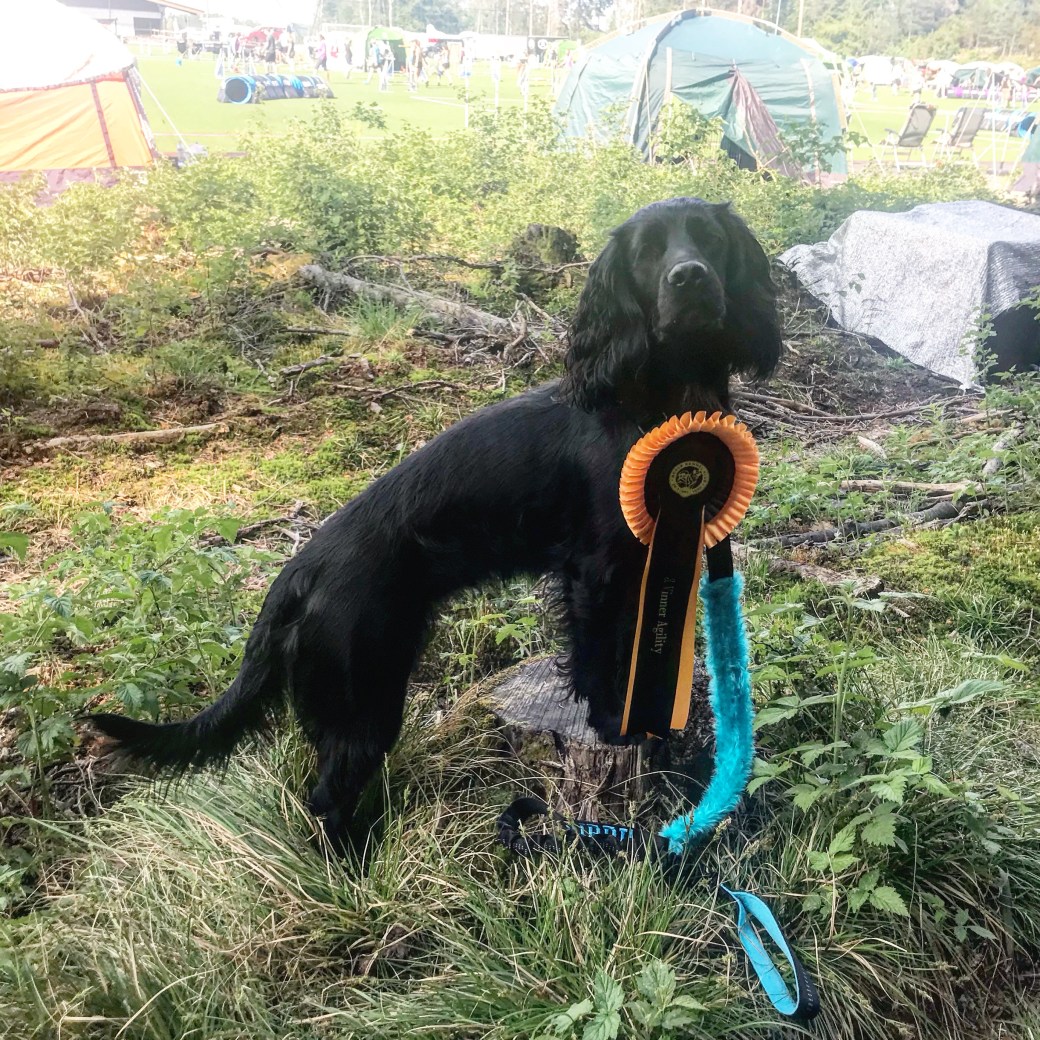 1ABBB3B0-A361-483D-95EF-4624FE2D07E9