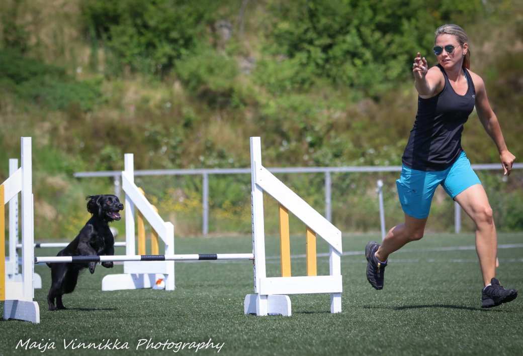 35123485_10156572486814446_5075580569870401536_o