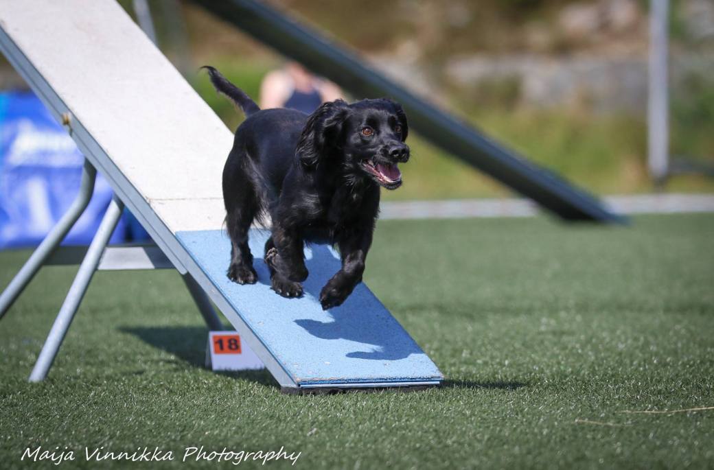 35196981_10156572479369446_7015337295670673408_o