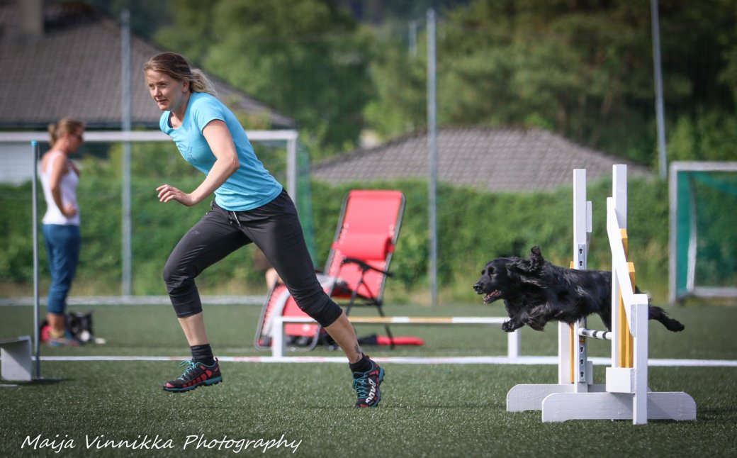 35225711_10156572480259446_2762509268136493056_o