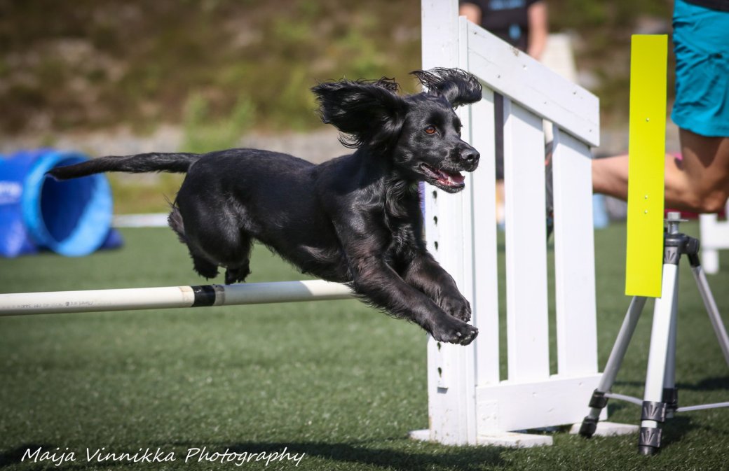 35232914_10156572477764446_1280267396602396672_o