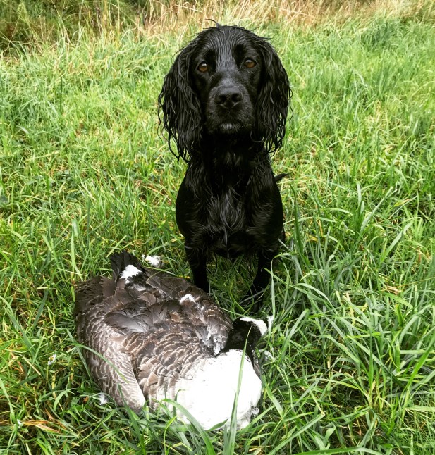 Bilde 15.08.2018, 14 27 50