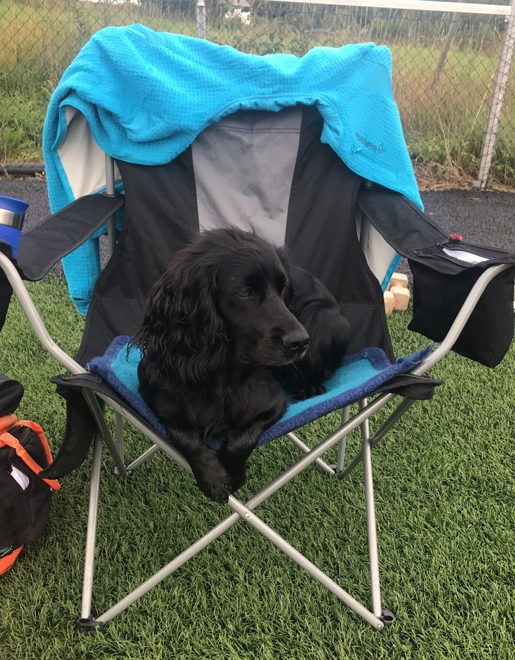 Bilde 23.08.2018, 09 50 42