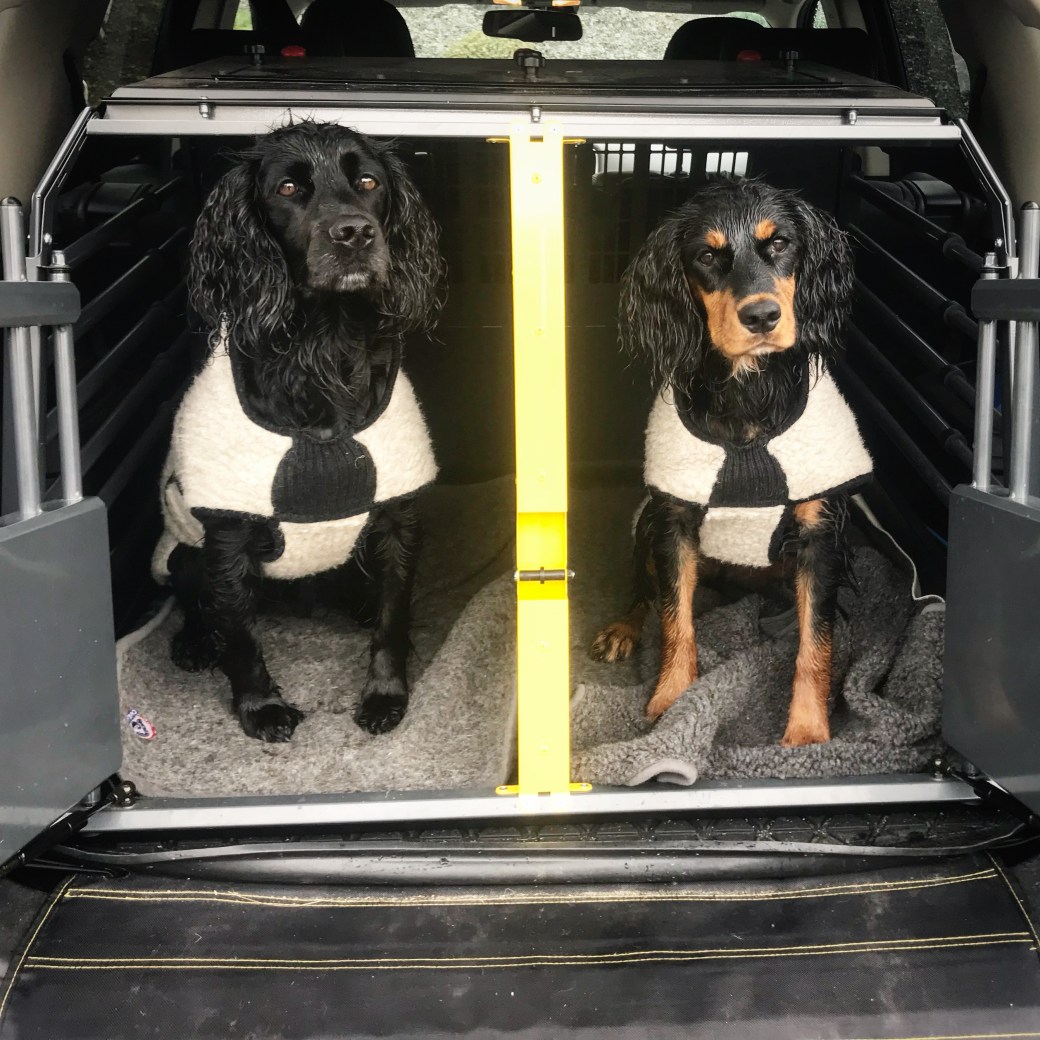 Bilde 24.08.2018, 12 22 06