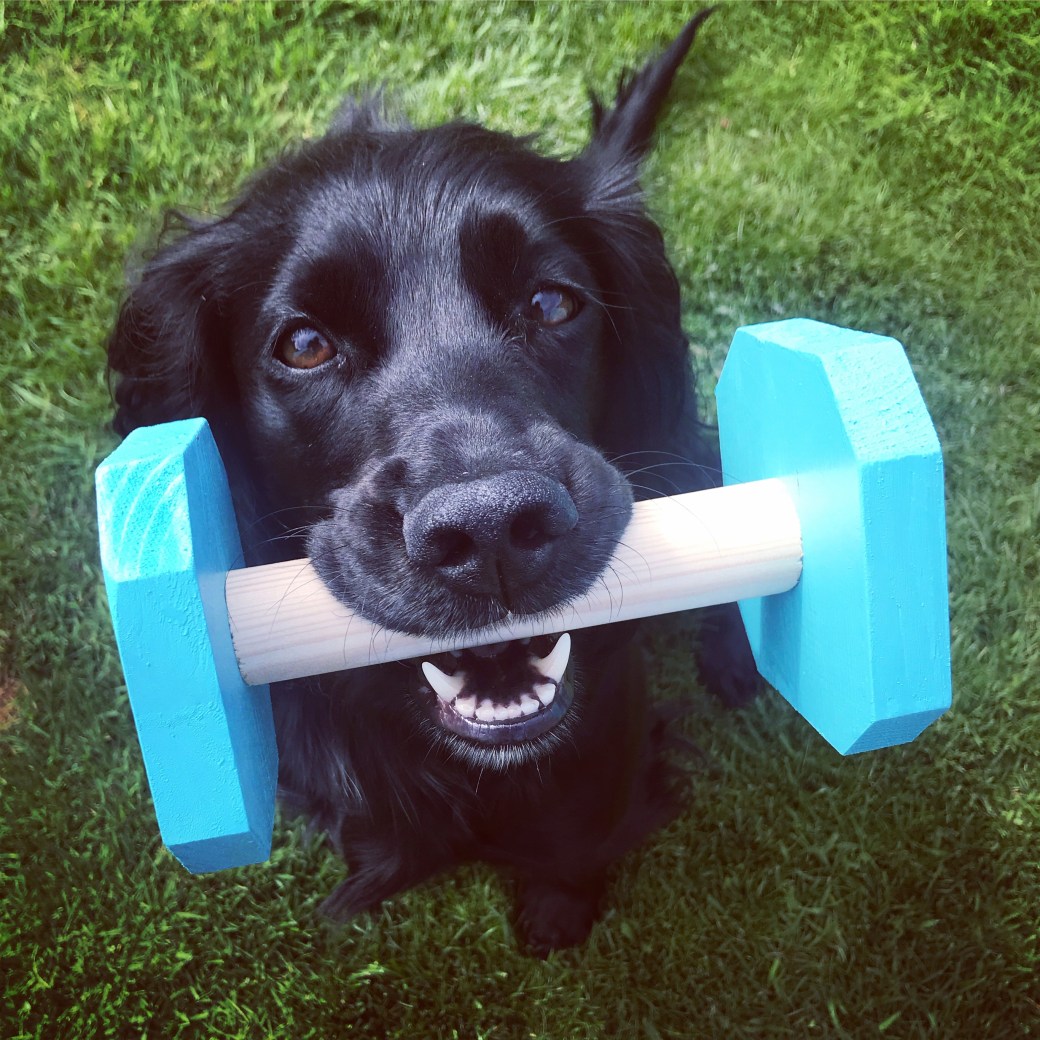 Bilde 26.08.2018, 15 21 04