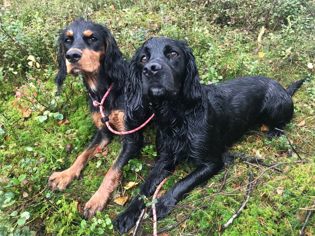 Bilde 09.09.2018, 11 59 58