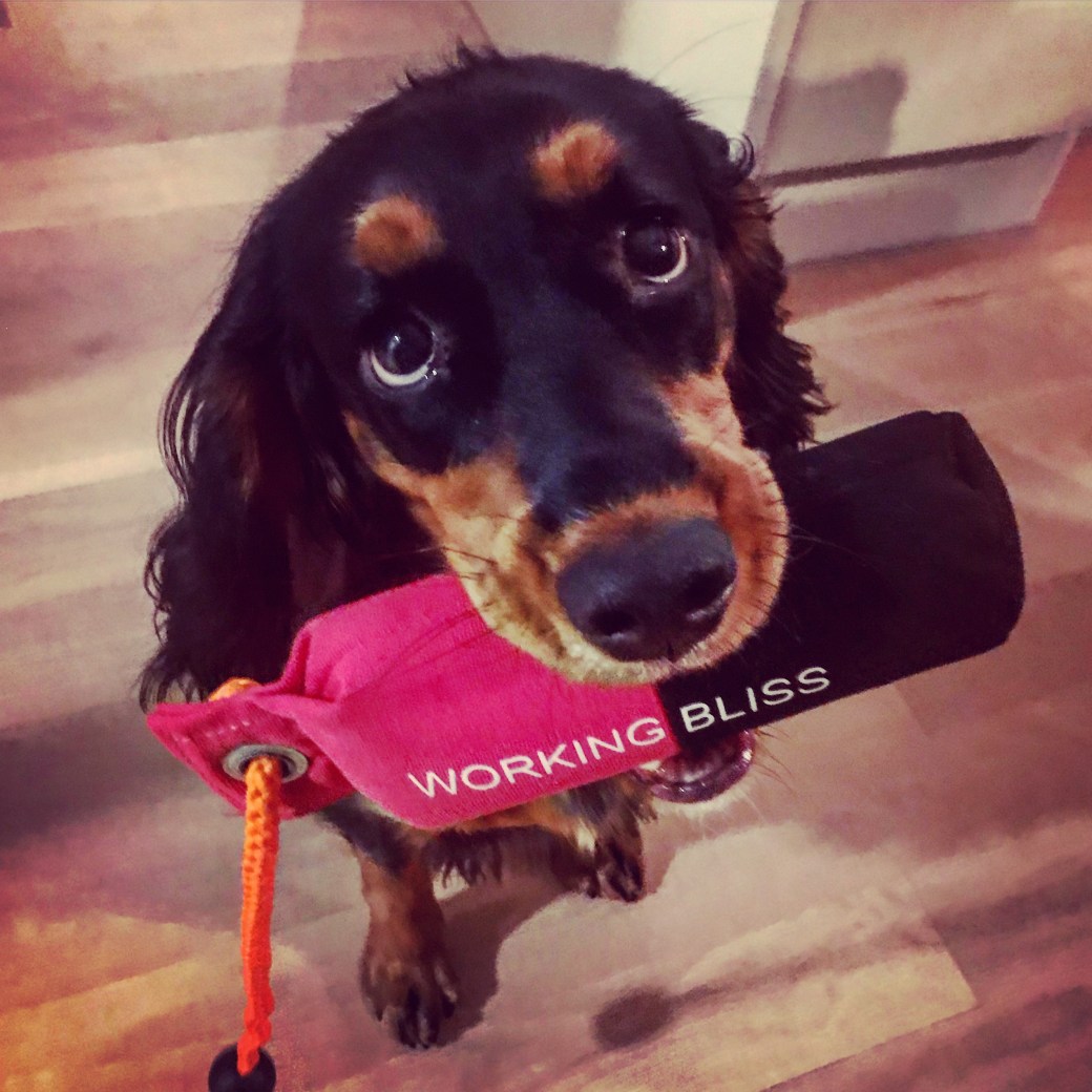 9C50279D-151D-41F9-A0DB-1D28CA5A3A3D