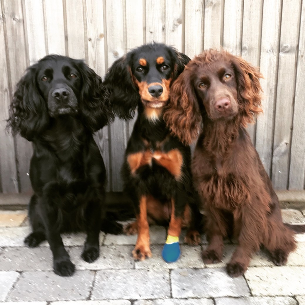 Bilde 02.10.2018, 17 44 52