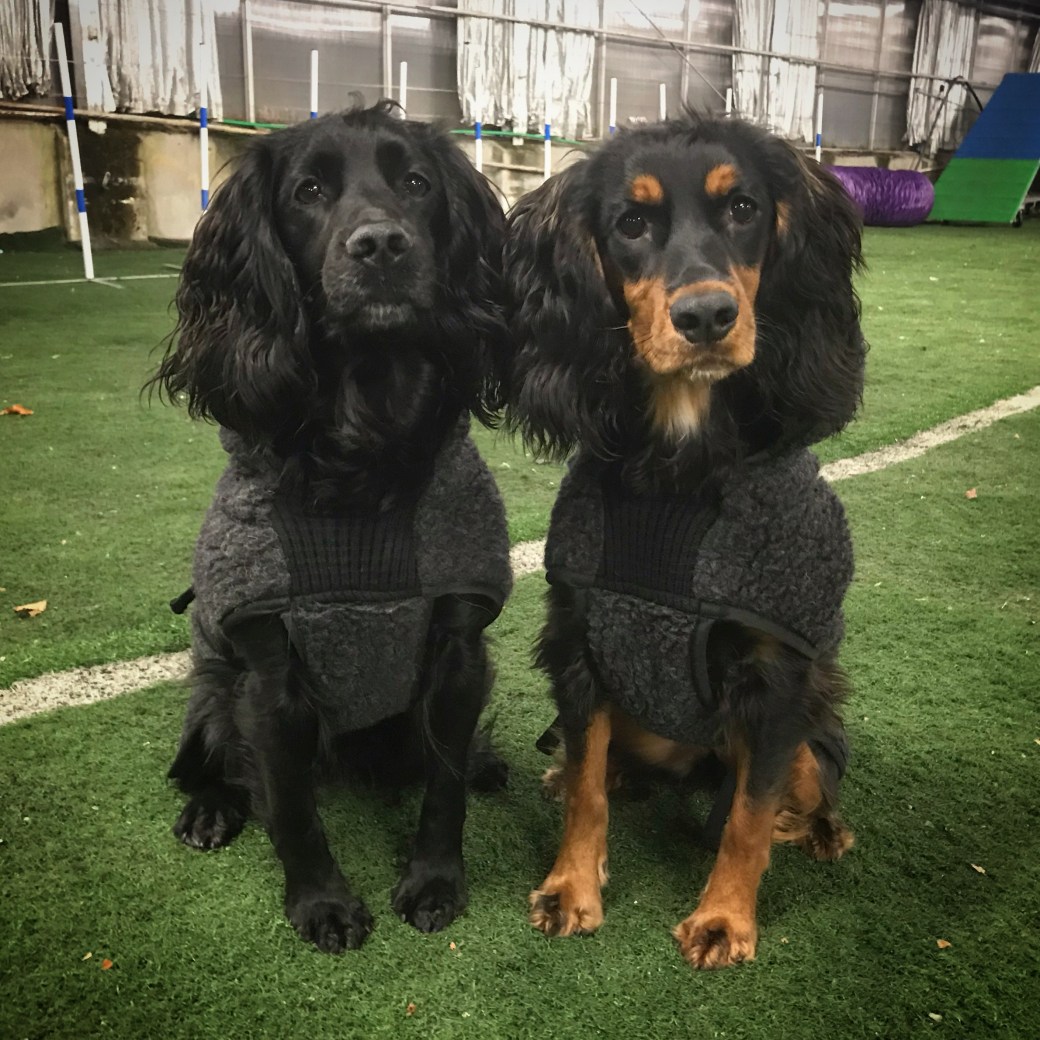 Bilde 21.11.2018, 19 52 34