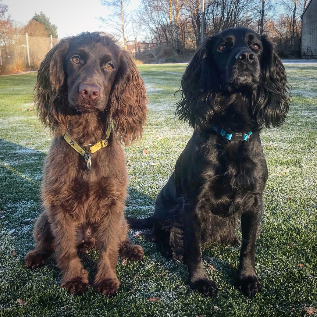 Bilde 25.11.2018, 13 27 56