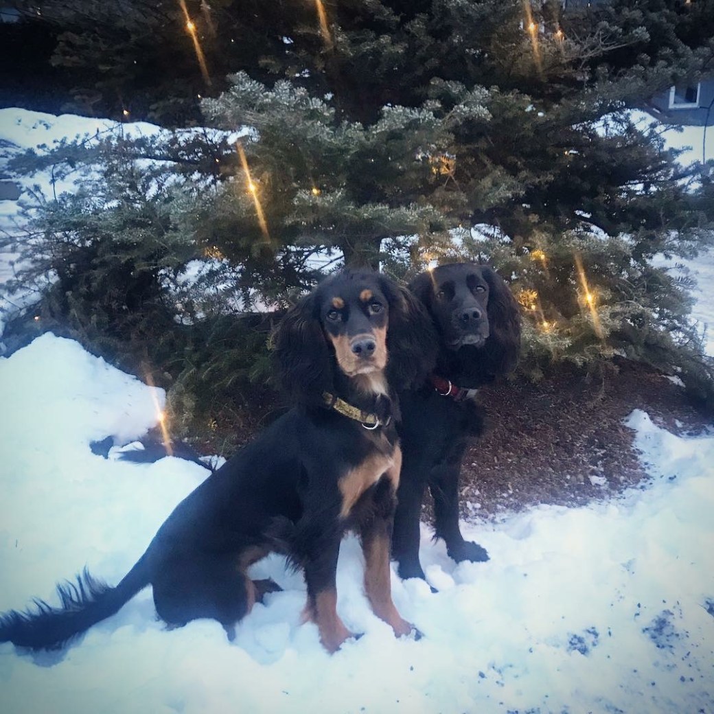 Bilde 24.12.2018, 15 43 25