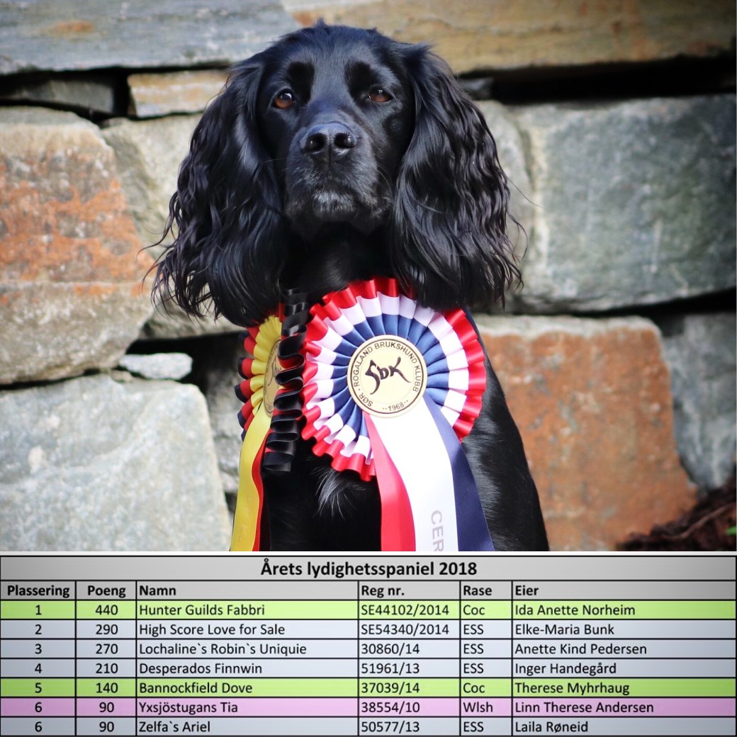 bilde 03.01.2019, 10 53 57