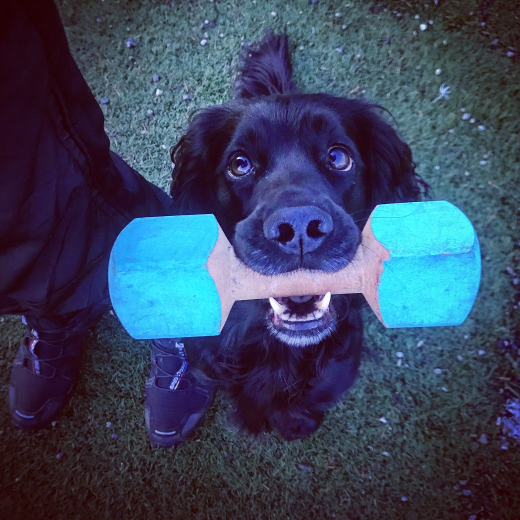 Bilde 28.02.2019, 18 12 23