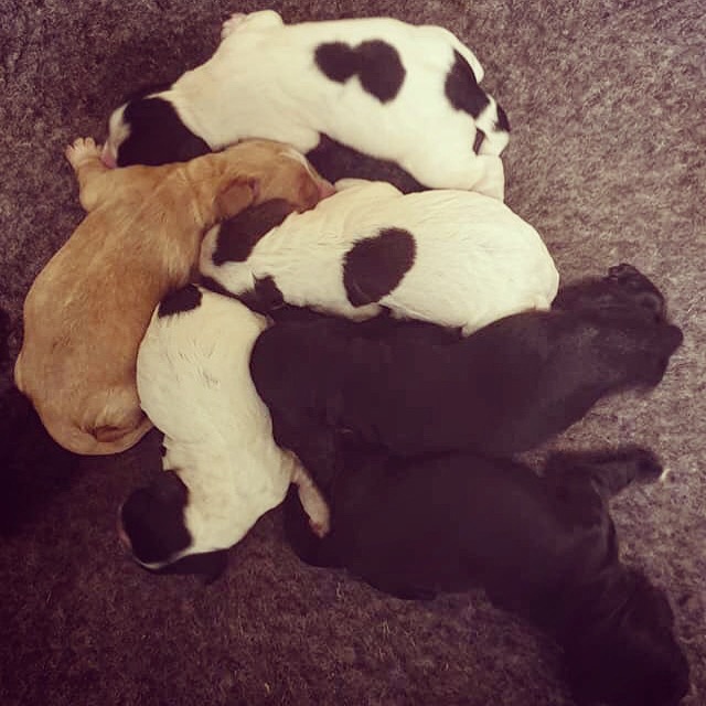 Bilde 20.05.2019, 23 48 48