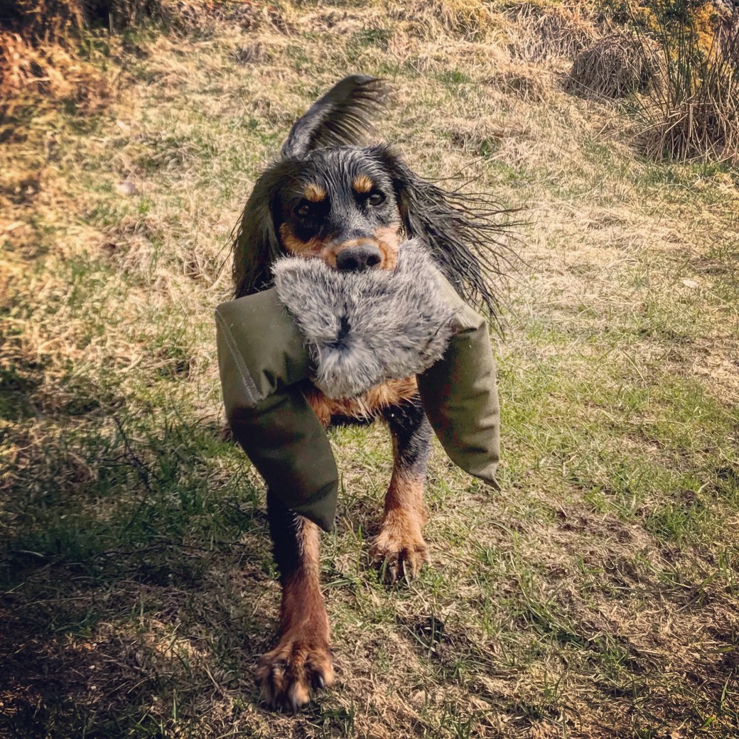 Bilde 21.04.2019, 15 06 09