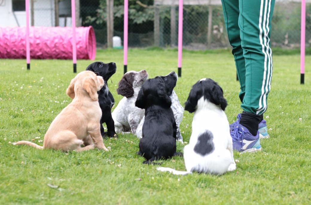 66634833_814079978995032_7916500955690958848_o