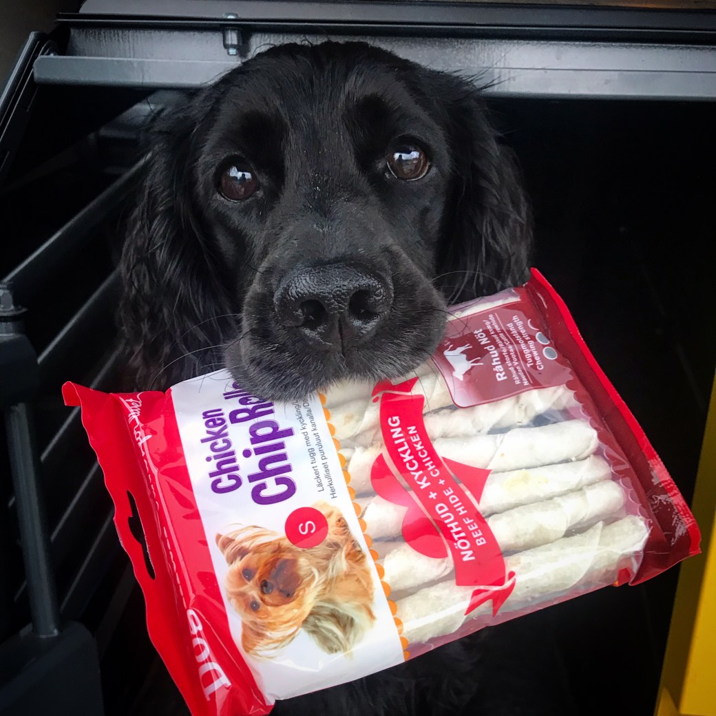 Bilde 13.08.2019, 20 50 11