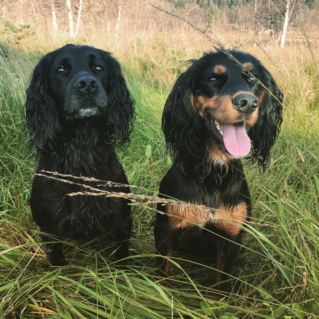 Bilde 29.08.2019, 18 46 13