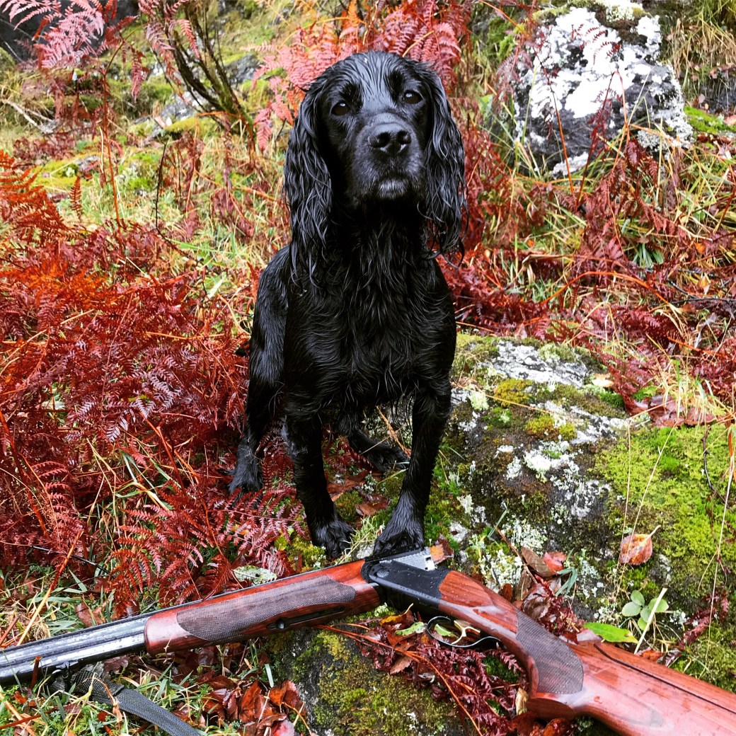 Bilde 12.10.2019, 12 12 14