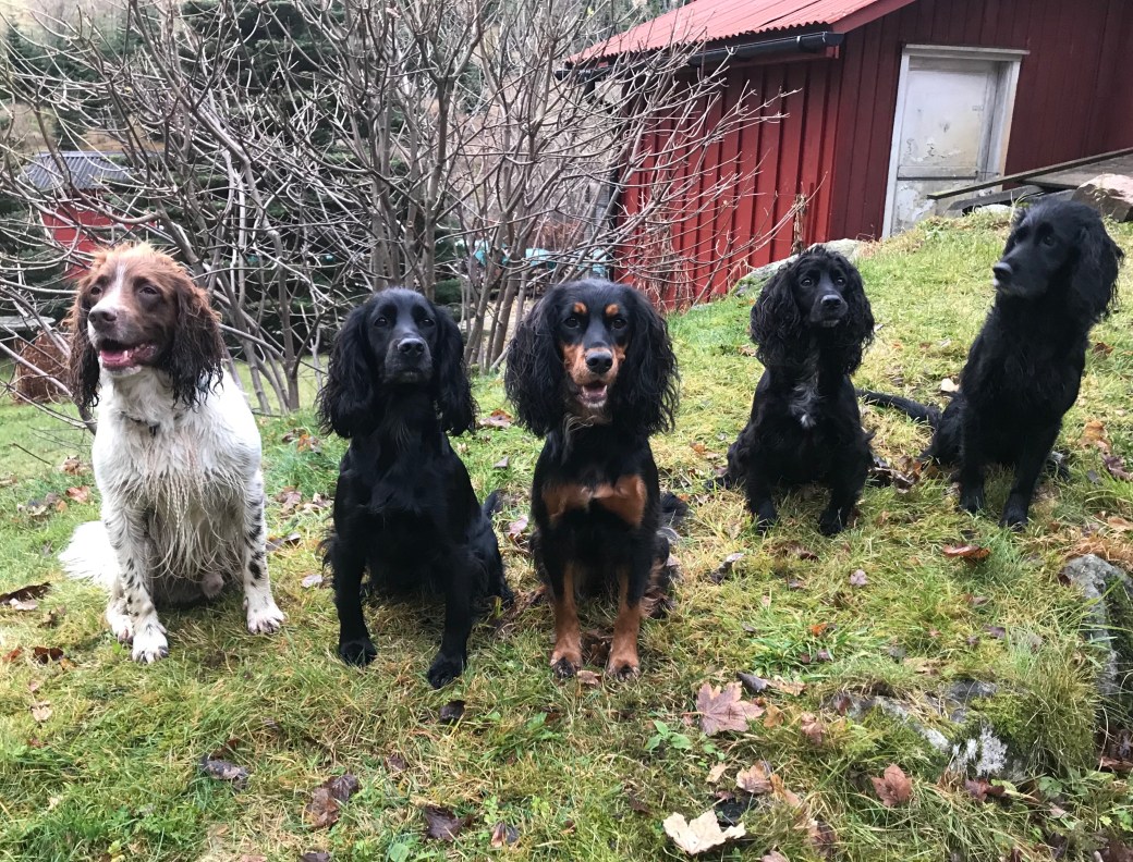 Bilde 03.11.2019, 16 05 11