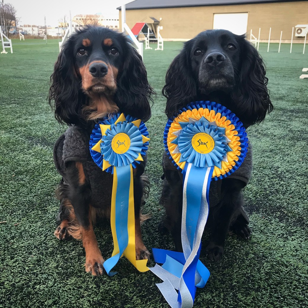 Bilde 12.01.2020, 15 34 15